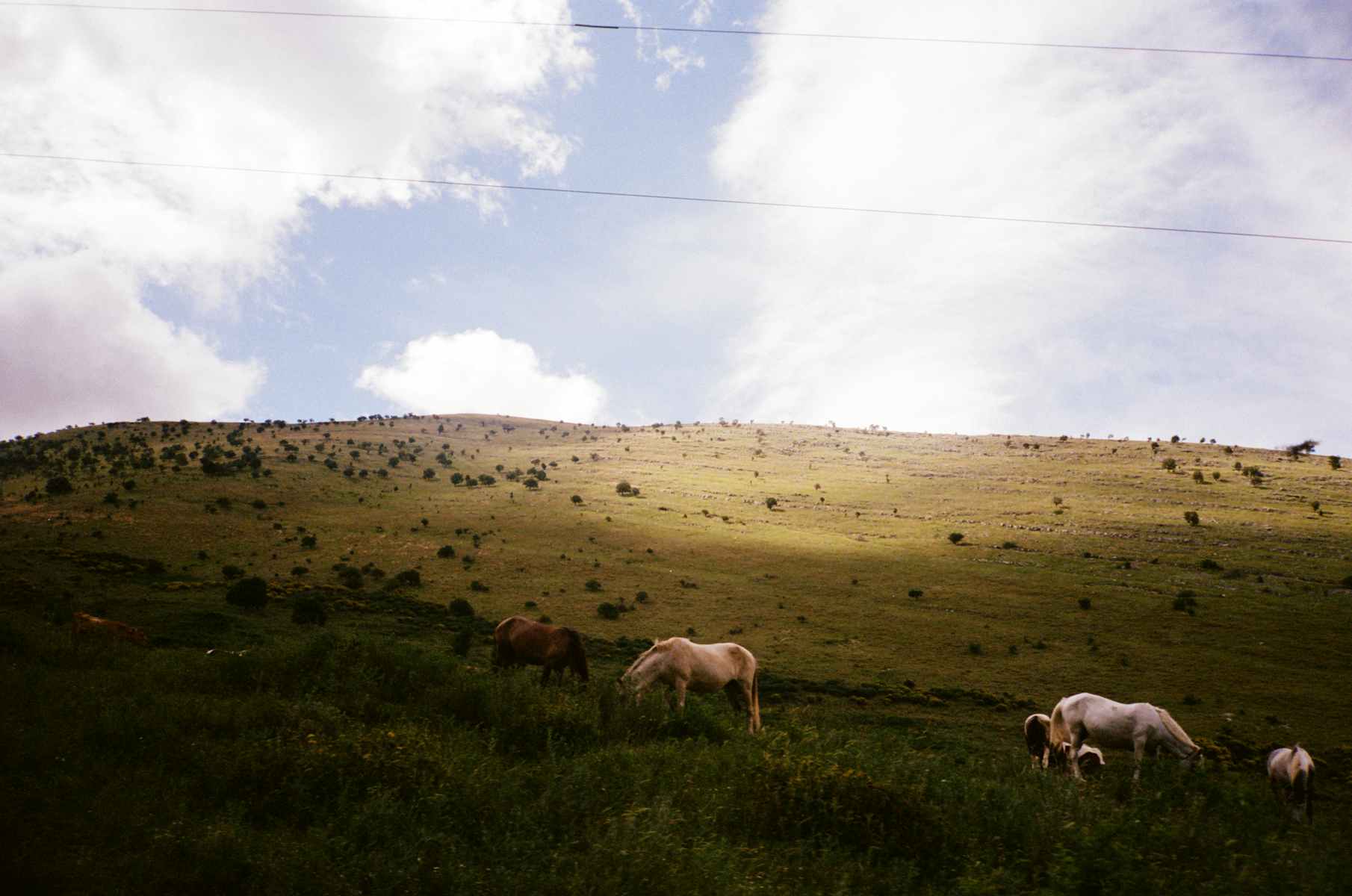 How Albania became 2023’s summer hotspot - The Face