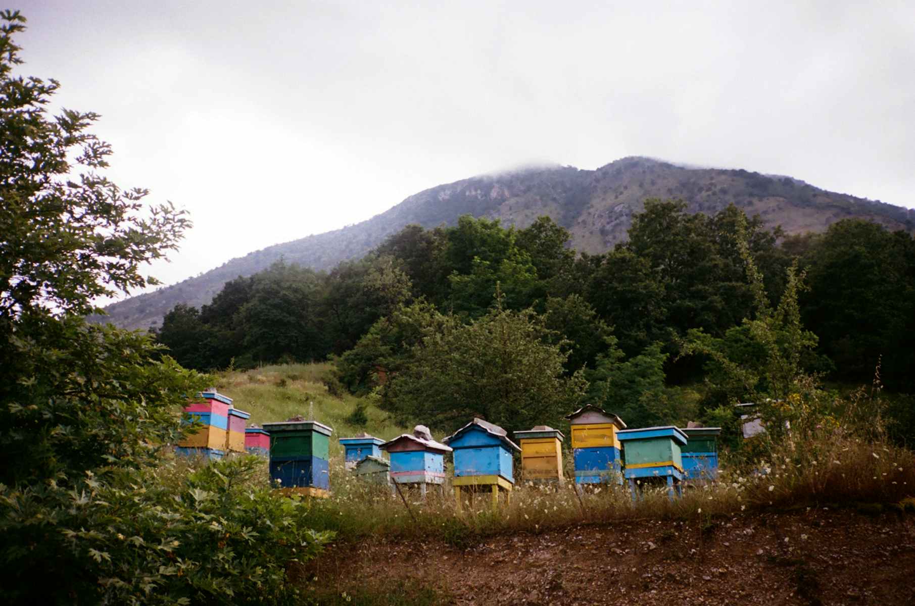 How Albania became 2023’s summer hotspot - The Face