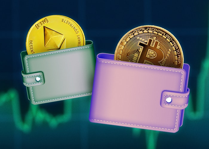 different wallet crypto