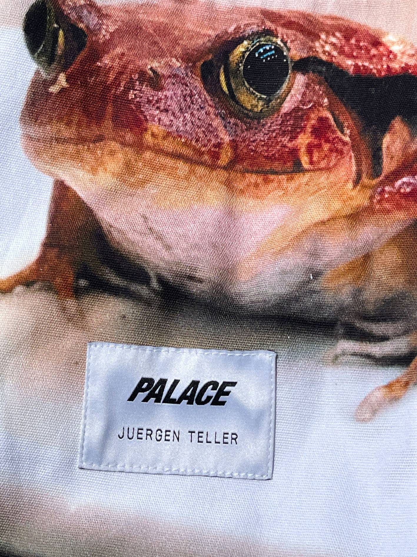 Palace x Juergen Teller: sex, fags and frogs - The Face