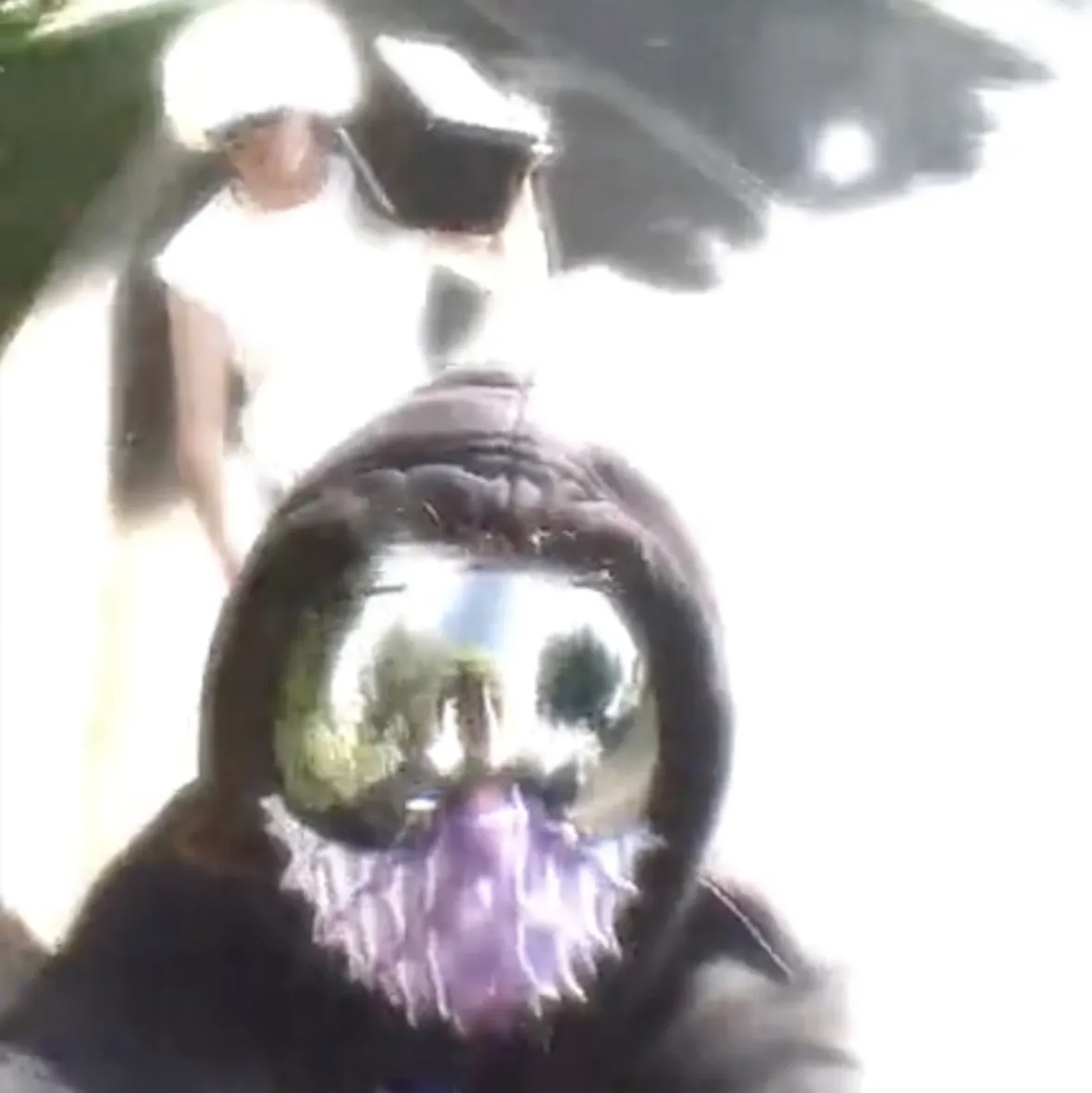 The first ever Two Shell interview - The Face